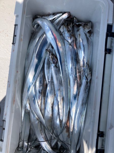 フィッシング　キッタカ 釣果