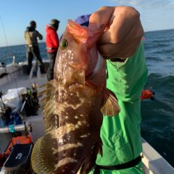 ランスルー 釣果