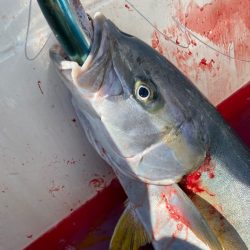 「LaGooN」蒼陽丸 日和号 釣果