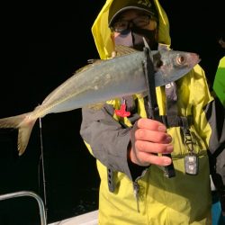愛海丸 釣果