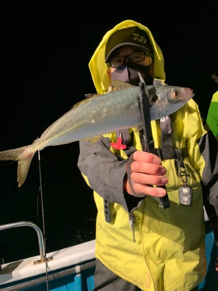 愛海丸 釣果