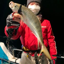 愛海丸 釣果