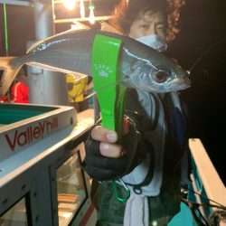 愛海丸 釣果