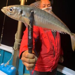 愛海丸 釣果