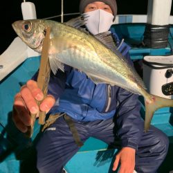愛海丸 釣果