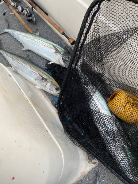 「LaGooN」蒼陽丸 日和号　 釣果