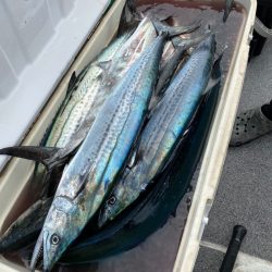 「LaGooN」蒼陽丸 日和号　 釣果