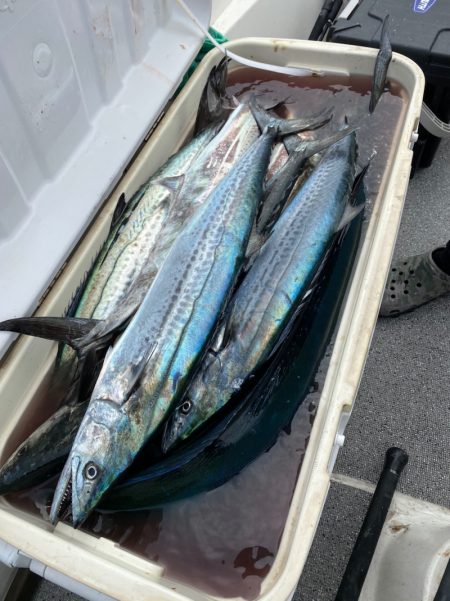 「LaGooN」蒼陽丸 日和号　 釣果