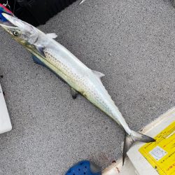 「LaGooN」蒼陽丸 日和号　 釣果