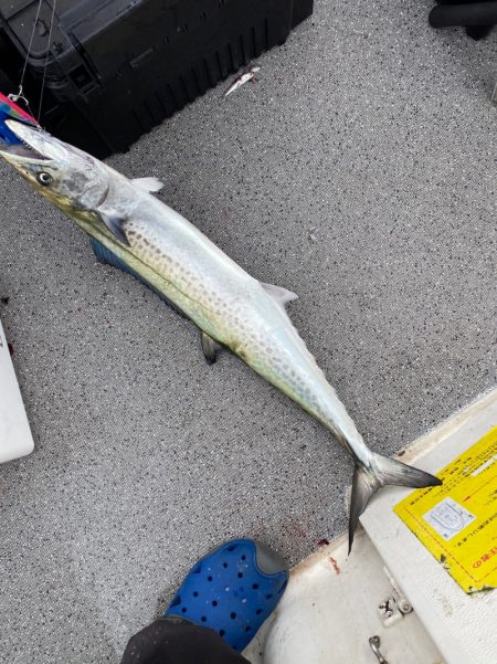 「LaGooN」蒼陽丸 日和号　 釣果