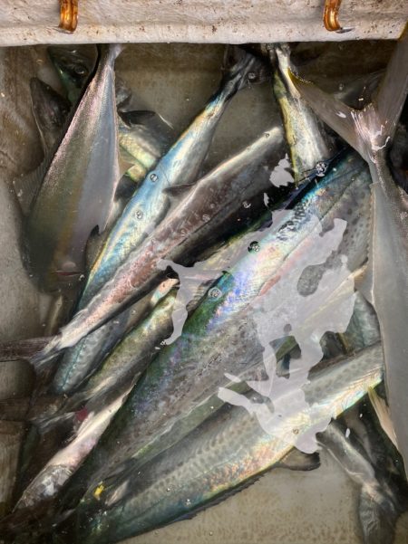 「LaGooN」蒼陽丸 日和号 釣果