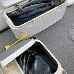 「LaGooN」蒼陽丸 日和号 釣果