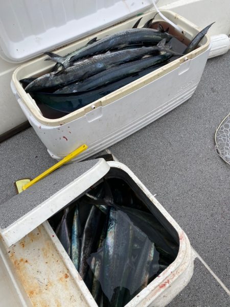 「LaGooN」蒼陽丸 日和号 釣果