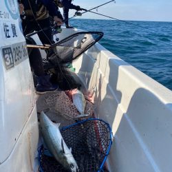 「LaGooN」蒼陽丸 日和号 釣果