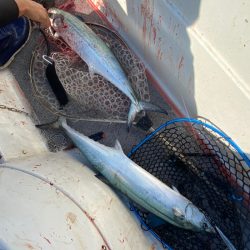 「LaGooN」蒼陽丸 日和号 釣果