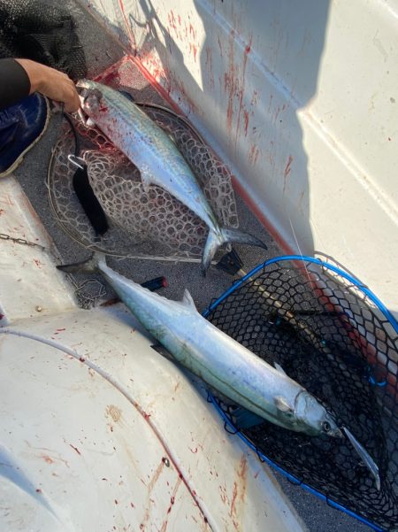 「LaGooN」蒼陽丸 日和号 釣果