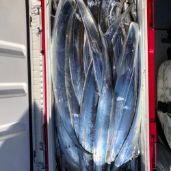 フィッシング　キッタカ 釣果