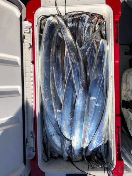 フィッシング　キッタカ 釣果