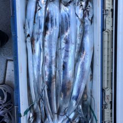 フィッシング　キッタカ 釣果