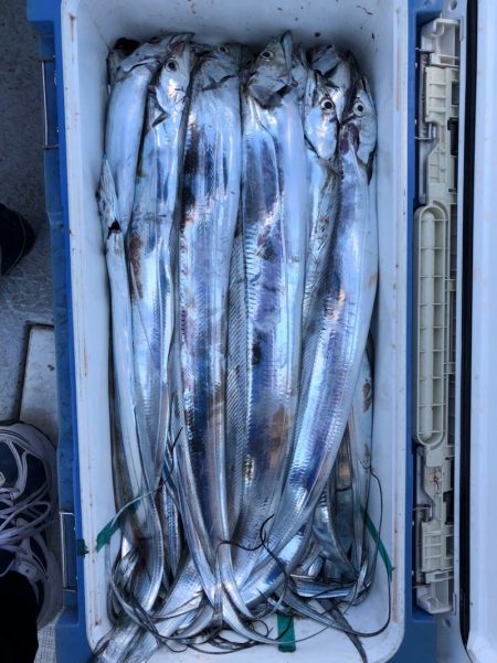 フィッシング　キッタカ 釣果