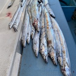 岡田釣船 八英丸 釣果