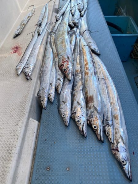 岡田釣船 八英丸 釣果