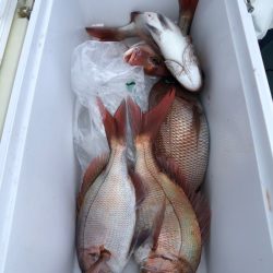 第二八坂丸 釣果