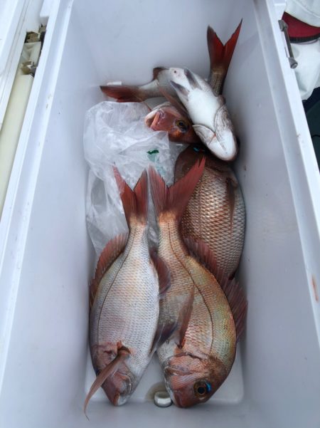 第二八坂丸 釣果