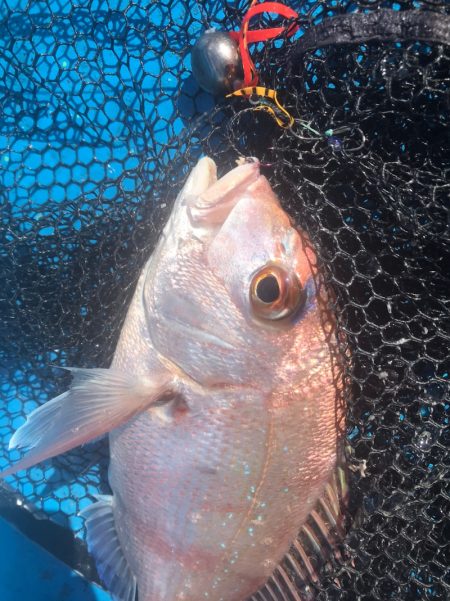 太平丸 釣果