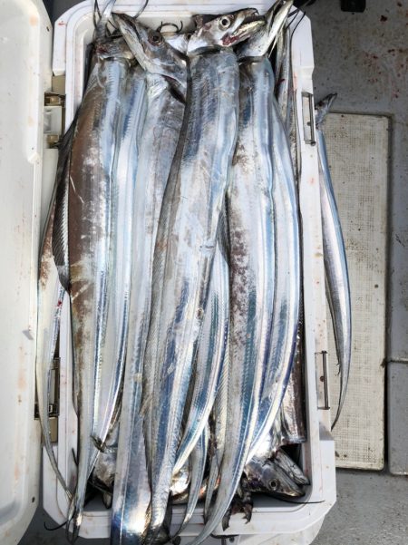 フィッシング　キッタカ 釣果