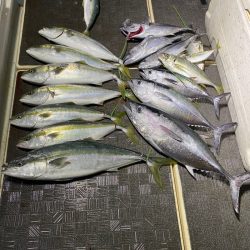 Monster Rush! 釣果