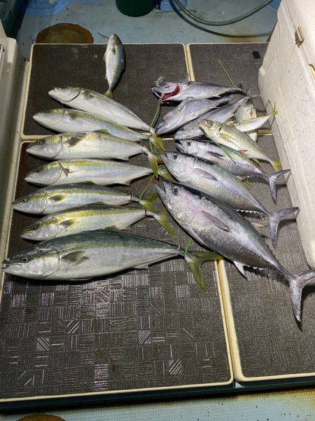 Monster Rush! 釣果