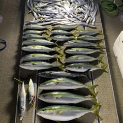 SeaRide(シーライド) 釣果