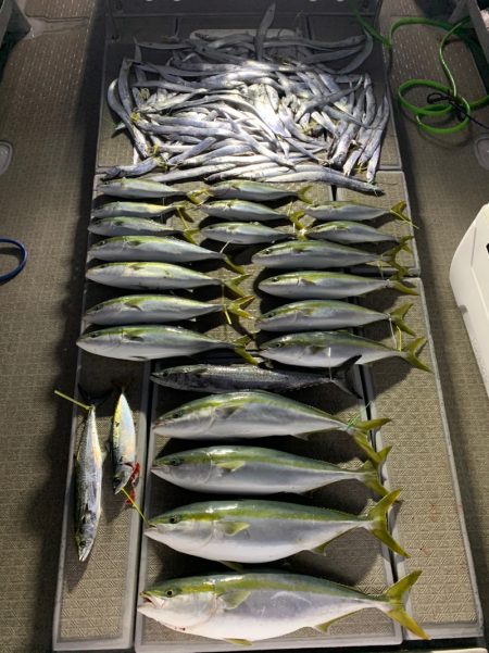 SeaRide(シーライド) 釣果