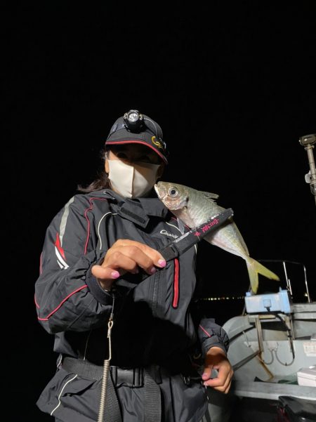 あみや渡船 JIGBOY 釣果