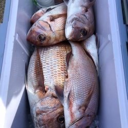 第二八坂丸 釣果