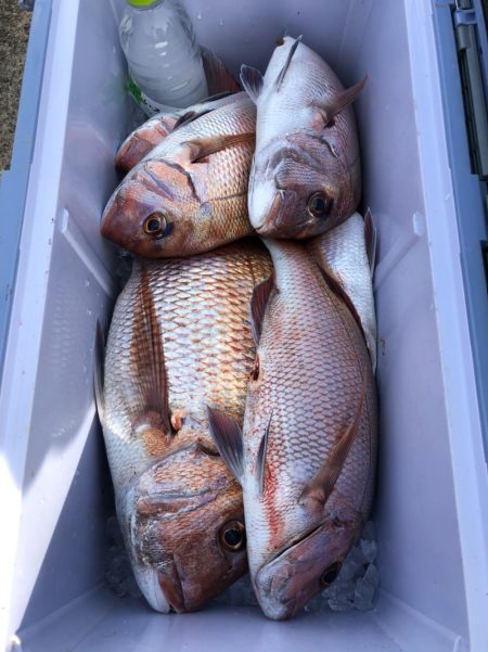 第二八坂丸 釣果