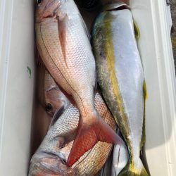 第二八坂丸 釣果