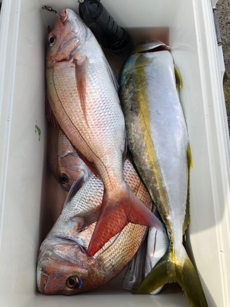 第二八坂丸 釣果