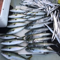 エムズジャーク(M’s JERK) 釣果