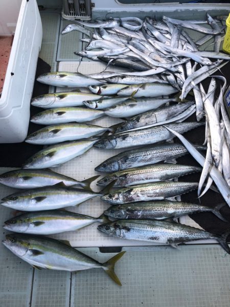 エムズジャーク(M’s JERK) 釣果