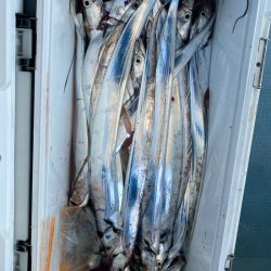 岡田釣船　八英丸 釣果