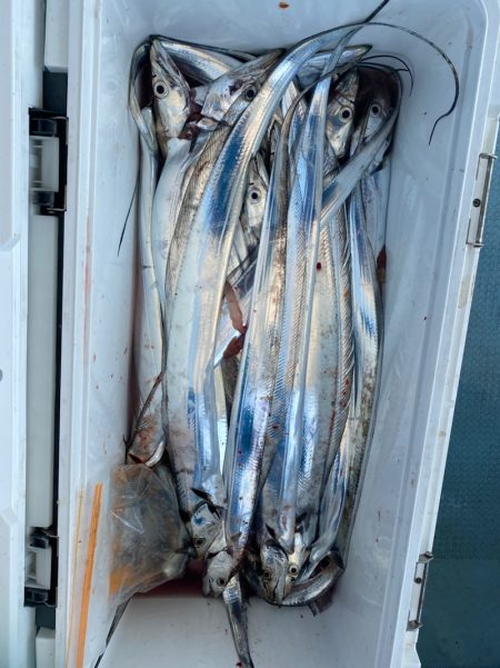 岡田釣船　八英丸 釣果