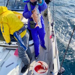 遊漁船ブルーウッズ 釣果