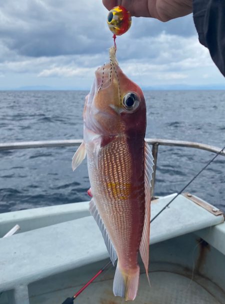 あみや渡船 JIGBOY 釣果