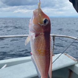 あみや渡船 JIGBOY 釣果