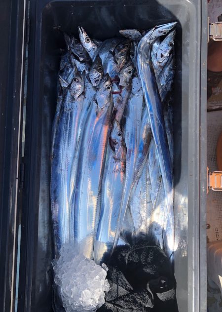 フィッシング キッタカ 釣果