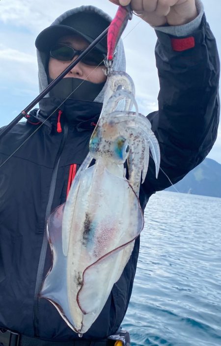 あみや渡船 JIGBOY 釣果