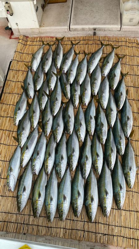 釣人家 釣果
