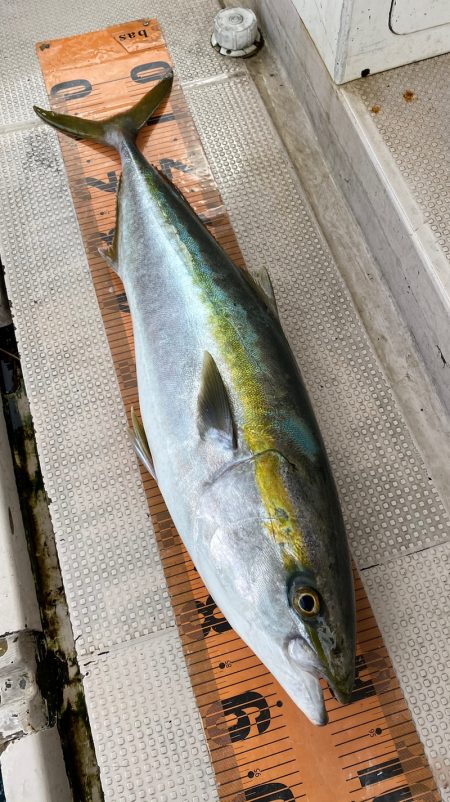 釣人家 釣果